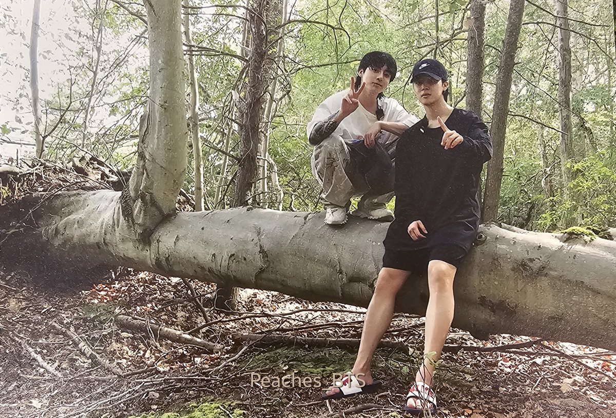 꾸달🐰🐥 tweet media