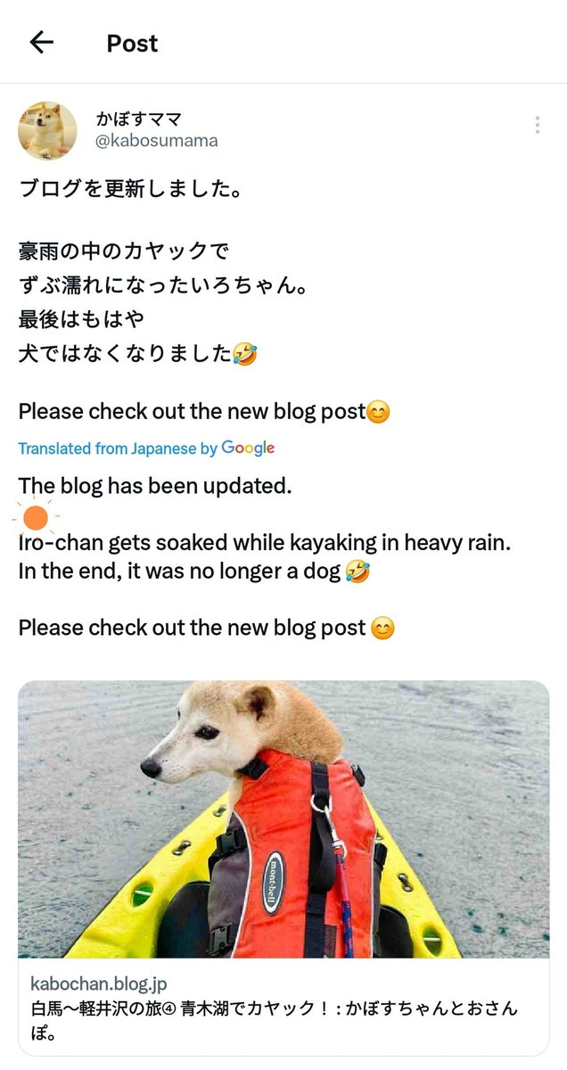 LincolnBakerx's tweet photo. @kabosumama We are the only #IRO-Chan and we are established.

Listed on CG
Listed on CMC
Listed on MEXC
Tracked on Binance
Tracked on https://t.co/EWCak37KPj
Tracked on Coinbase

We are also updated on Dexscreener and Dextools.

We can be the only #IRO runner. @IroChan_ERC20 https://t.co/YcanJ1ih8y