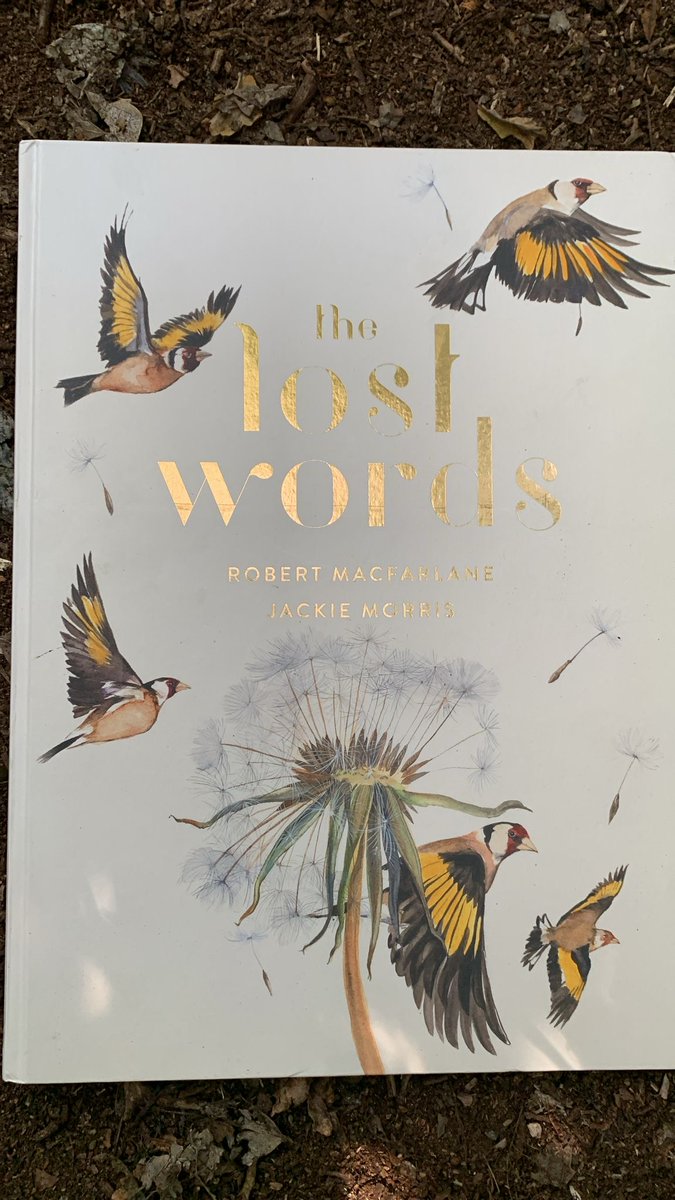 TreeHouseLearn's tweet image. Tree House Learning October 2024 Newsletter 🍁🍂 - mailchi.mp/5ceb5629f538/t…