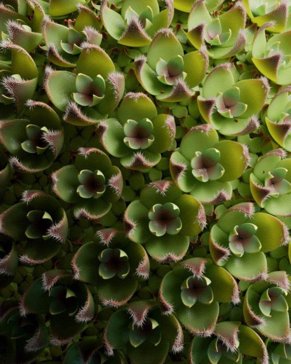 Andréa Philippon tweet media