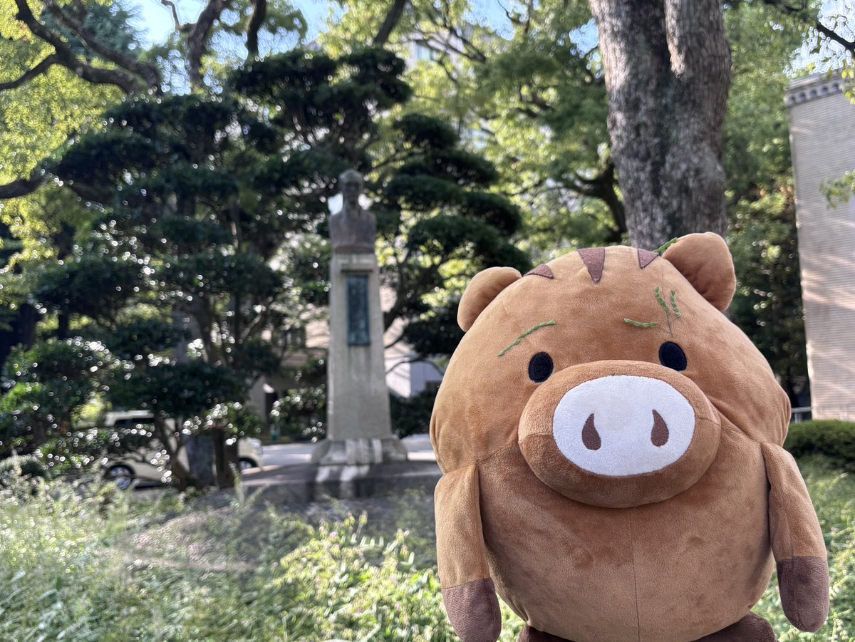 ryosokai's tweet image. 六甲台第1キャンパス内ではアレチノヌスビトハギが咲いていました。ちいさい秋ですね♪
#眉毛はひっつき虫