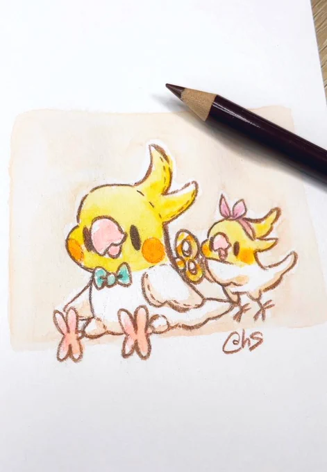 なんどでも申し上げましょう!!!オカメインコちゃんの足の指は、前2本後ろ2本!!!!Xなのですぞぉおお!!!!!! 