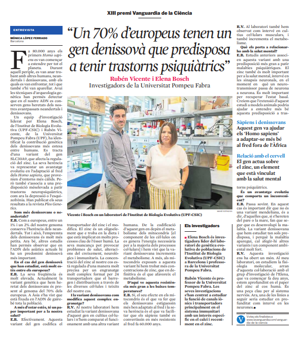 Un estudi col·laboratiu entre dos laboratoris de la <a href="/UPFBarcelona/">UPF Barcelona</a> i l'<a href="/IBE_Barcelona/">Institute of Evolutionary Biology (IBE)</a> que ha pogut identificar un gen provinent dels Denisovans que va permetre l'adaptació al fred tot i que predisposa a patir trastorns psiquiàtrics. 

✉️Vota la candidatura: lavanguardia.com/vanguardia-de-…