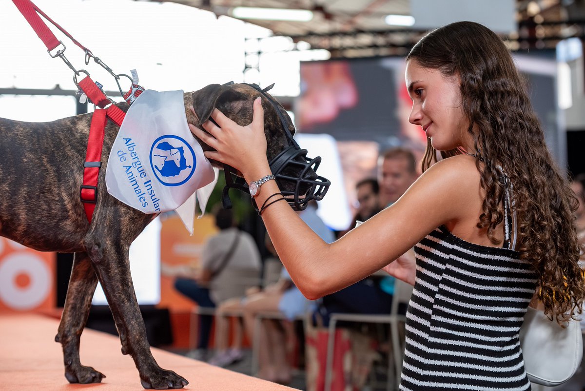 MaspalomasNews's tweet image. 🐾𝗠𝗮́𝘀 𝗱𝗲 𝟯.𝟬𝟬𝟬 𝗽𝗲𝗿𝘀𝗼𝗻𝗮𝘀 𝗿𝗲𝘀𝗽𝗮𝗹𝗱𝗮𝗻 𝗹𝗮 𝗽𝗿𝗼𝘁𝗲𝗰𝗰𝗶𝗼́𝗻 𝗱𝗲 𝗹𝗼𝘀 𝗮𝗻𝗶𝗺𝗮𝗹𝗲𝘀 𝗲𝗻 𝗹𝗮 𝘀𝗲́𝗽𝘁𝗶𝗺𝗮 𝗲𝗱𝗶𝗰𝗶𝗼́𝗻 𝗱𝗲 𝗔𝗻𝗶𝗺𝘂𝗻𝗱𝗼
Más Info:🔗maspalomasnews.com/mas-de-3-000-p…
#Animundo #grancanaria