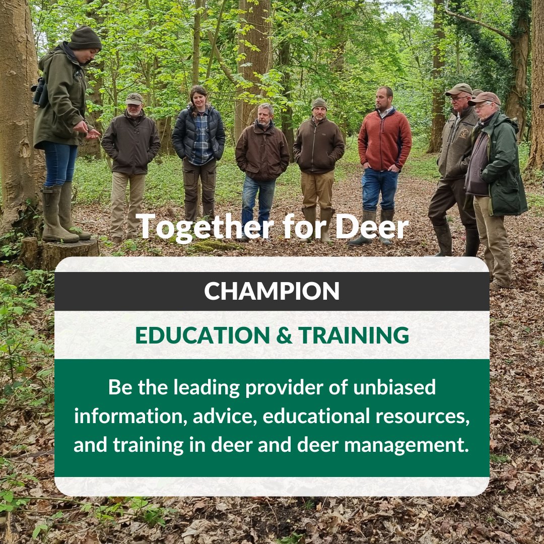 BritishDeerSoc's tweet photo. In our 2024-2030 "Together for Deer" strategy, education &amp; training are key! We're expanding resources, broadening events, empowering advocates and more.

Find out more here: https://t.co/hOvaaoHvFI

#TogetherForDeer #DeerEducation #WildlifeConservation #DeerWelfare https://t.co/pfLYmy8uAt