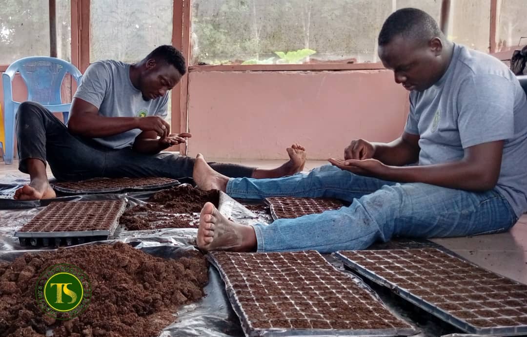 TechsheltaI's tweet image. Preparing the nursery for seedlings should be done with accuracy and with the ideal soil medium as it&apos;s the genesis of plant life.

Our trainees having a practical session in nursery management.

#TSTI #trainees #learning #nursery #seedlings #soilmedium #plantlife #agriculture