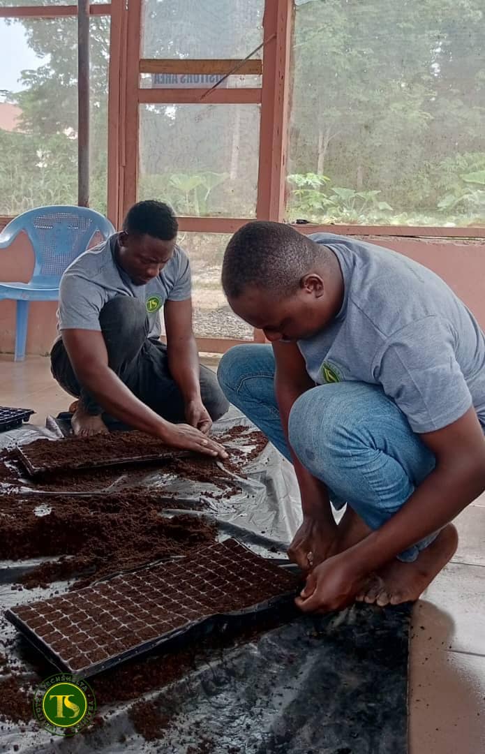 TechsheltaI's tweet image. Preparing the nursery for seedlings should be done with accuracy and with the ideal soil medium as it&apos;s the genesis of plant life.

Our trainees having a practical session in nursery management.

#TSTI #trainees #learning #nursery #seedlings #soilmedium #plantlife #agriculture