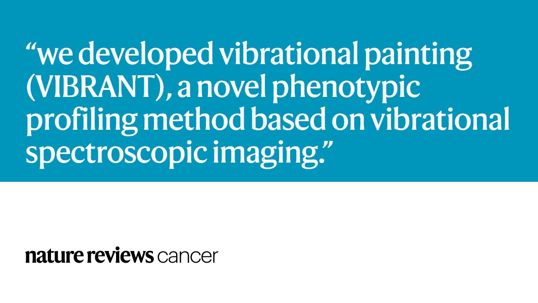 NatureRevCancer's tweet image. In our latest #ToolsoftheTrade, Xinwen Liu (@Columbia, @ChemColumbia) describes the development of VIBRANT and its utility for predicting drug mechanisms of action + identifying drug candidates. 

📖👉go.nature.com/3N57i3r