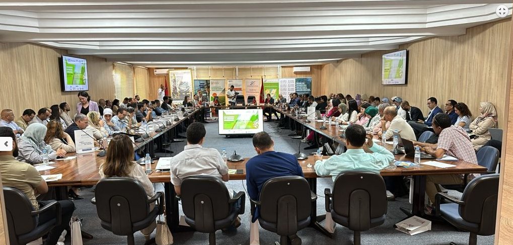 MaritimeNews_Ma's tweet image. 🌵🗺️L’ASMEX continue ses actions de sensibilisation sur la décarbonation
#ASMEX #Exportateursmarocain #Sensibilisation #decarbonation #Souss-Massa
laminfo.ma/r/l1K