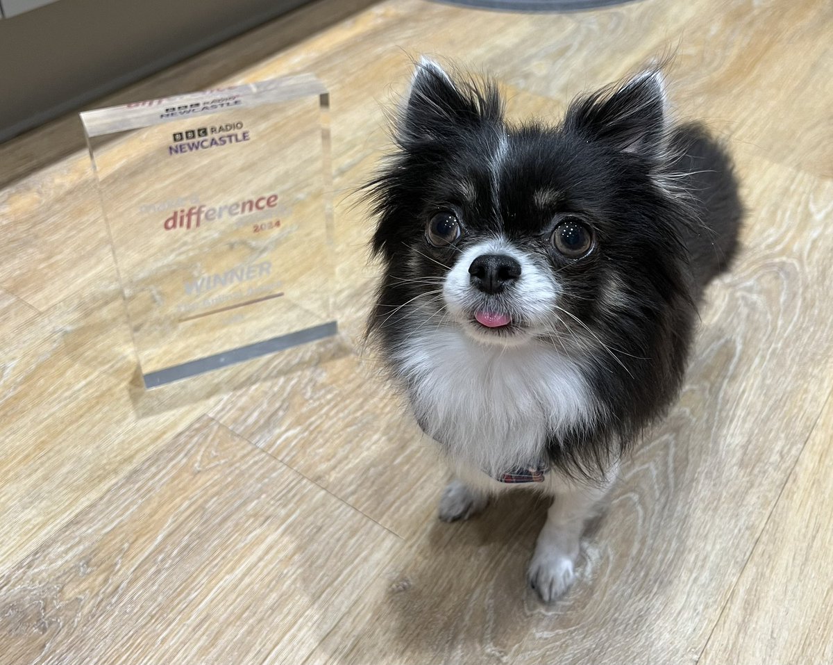 hearts_matteruk's tweet photo. The little guy did it 🏆
He won the over all award for Animal at the #BBCRadioNewcastle #MakeADifferenceAwards 
Loki is a wonderful service dog to Ryoo &amp; the best friend
He is there through everything #LifeLimiting #PalliativeCare #CKD #HeartTransplant @LesDennis @GabyRoslin https://t.co/lo2kzz3BVV