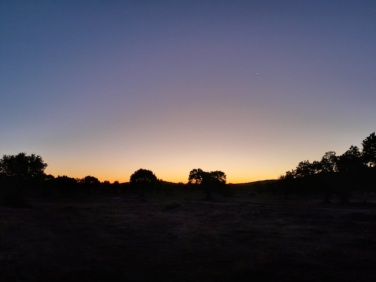 Viajarapie tweet media