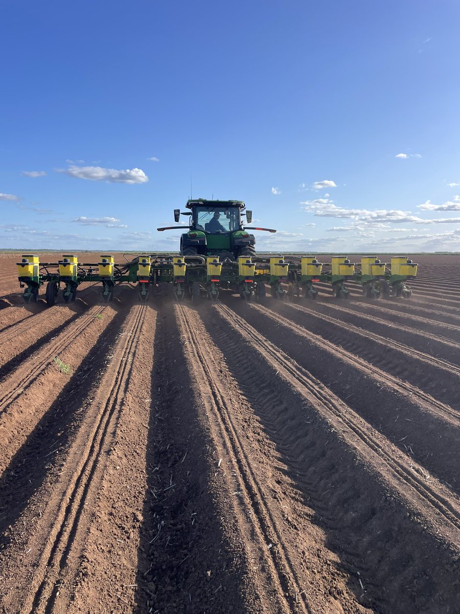 Nick Ronfeldt (@nickronfeldt) on Twitter photo Parties started for Cotton 24/25.
<a href="/SouthernValleys/">Southern Valleys Cotton Growers Association</a> #whittonnsw Parties started for Cotton 24/25.
<a href="/SouthernValleys/">Southern Valleys Cotton Growers Association</a> #whittonnsw