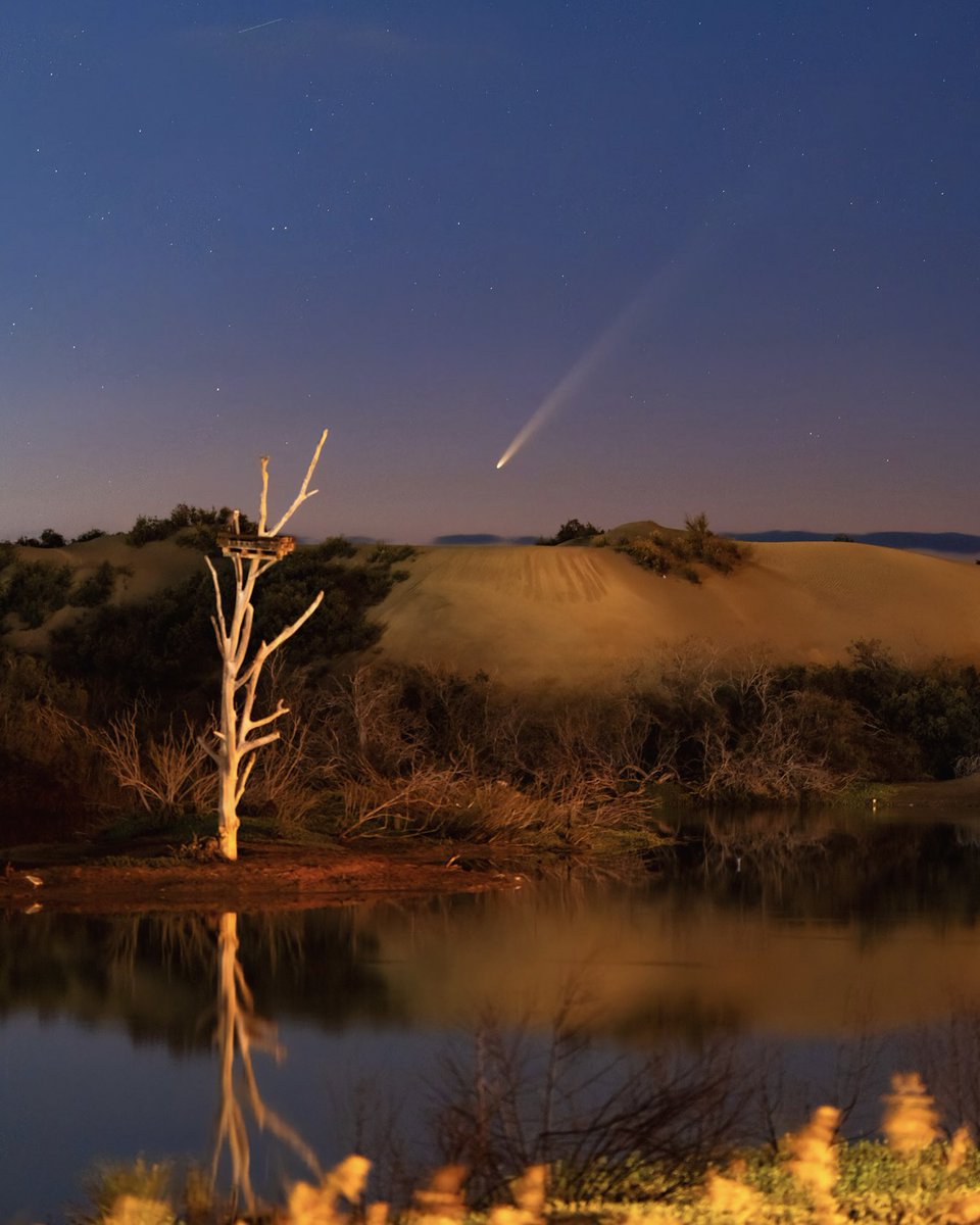 C/2023 A3 Tsuchinshan–ATLAS 
Hoy desde este humedal lleno de vida ubicado en la Reserva Natural Especial de las Dunas de Maspalomas. 
A pesar de la contaminación lumínica, el cometa del primer cuarto de siglo se mostró impresionante con su inmensa cola.
#comet #astro #cielosESA