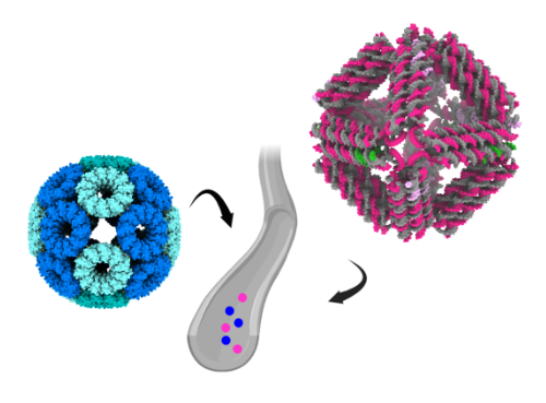 Artur Biela (@biela_artur) on Twitter photo Hey, I am looking for a PhD student interested in smart cell delivery, protein engineering, synthetic and structural biology.
details can be found here: 👉 lnkd.in/d2zF95Na
<a href="/JagiellonskiUni/">Uniwersytet Jagielloński</a> <a href="/SOLARIS_science/">SOLARIS Centre</a> <a href="/MCB_UJ/">Malopolska Centre of Biotechnology UJ</a> Hey, I am looking for a PhD student interested in smart cell delivery, protein engineering, synthetic and structural biology.
details can be found here: 👉 lnkd.in/d2zF95Na
<a href="/JagiellonskiUni/">Uniwersytet Jagielloński</a> <a href="/SOLARIS_science/">SOLARIS Centre</a> <a href="/MCB_UJ/">Malopolska Centre of Biotechnology UJ</a>