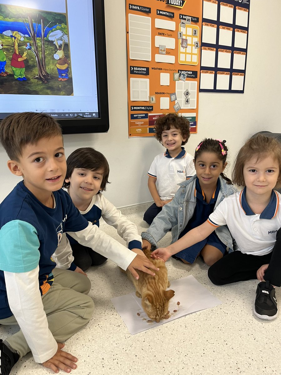 Merve SARIYILDIZ (@mervesariyildz) on Twitter photo Hayvanlar konusunu sınıfımıza gelen hayvan dostumuz ile birlikte işledik 🐈😻
<a href="/eebruoruc/">Ebru Oruç</a> <a href="/FundaOZTOPRAK76/">Funda ÖZTOPRAK</a> <a href="/duyguozkankilic/">Duygu Özkan Kılıç</a> <a href="/ozkanay_/">Özkan Ay</a> <a href="/aligundogdu44/">ALİ GÜNDOĞDU</a> <a href="/ayfer_bati/">Ayfer BATI</a> <a href="/mbaokullari/">MBA Okulları</a> <a href="/perifilo/">Gülperi Dayı</a> <a href="/duyguozkankilic/">Duygu Özkan Kılıç</a> <a href="/DeryaOzkanYavuz/">Derya Yavuz</a> <a href="/ersankurall/">mehmet ersan kural</a> Hayvanlar konusunu sınıfımıza gelen hayvan dostumuz ile birlikte işledik 🐈😻
<a href="/eebruoruc/">Ebru Oruç</a> <a href="/FundaOZTOPRAK76/">Funda ÖZTOPRAK</a> <a href="/duyguozkankilic/">Duygu Özkan Kılıç</a> <a href="/ozkanay_/">Özkan Ay</a> <a href="/aligundogdu44/">ALİ GÜNDOĞDU</a> <a href="/ayfer_bati/">Ayfer BATI</a> <a href="/mbaokullari/">MBA Okulları</a> <a href="/perifilo/">Gülperi Dayı</a> <a href="/duyguozkankilic/">Duygu Özkan Kılıç</a> <a href="/DeryaOzkanYavuz/">Derya Yavuz</a> <a href="/ersankurall/">mehmet ersan kural</a>