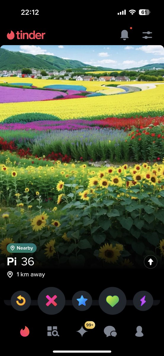 swanny_1980's tweet photo. @TinderUk could you look into the number of clearly fake profiles cropping up online… one poor quality image, ‘names’ that are mostly just random words, and NO details. There’s so many of them! https://t.co/mVt7PogURt