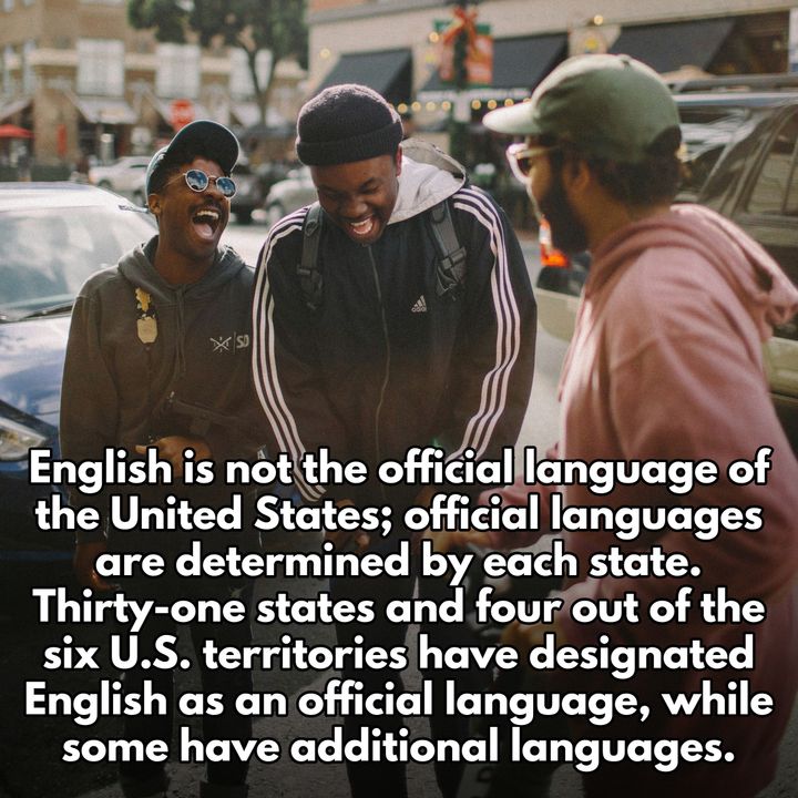 ThisStoryStore's tweet image. 50+ Impressive American Facts Every True Patriot Should Knows
omgcheckitout.com/cool-facts-abo…