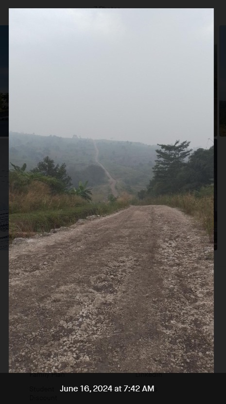 Davidson anggakesuma tweet media