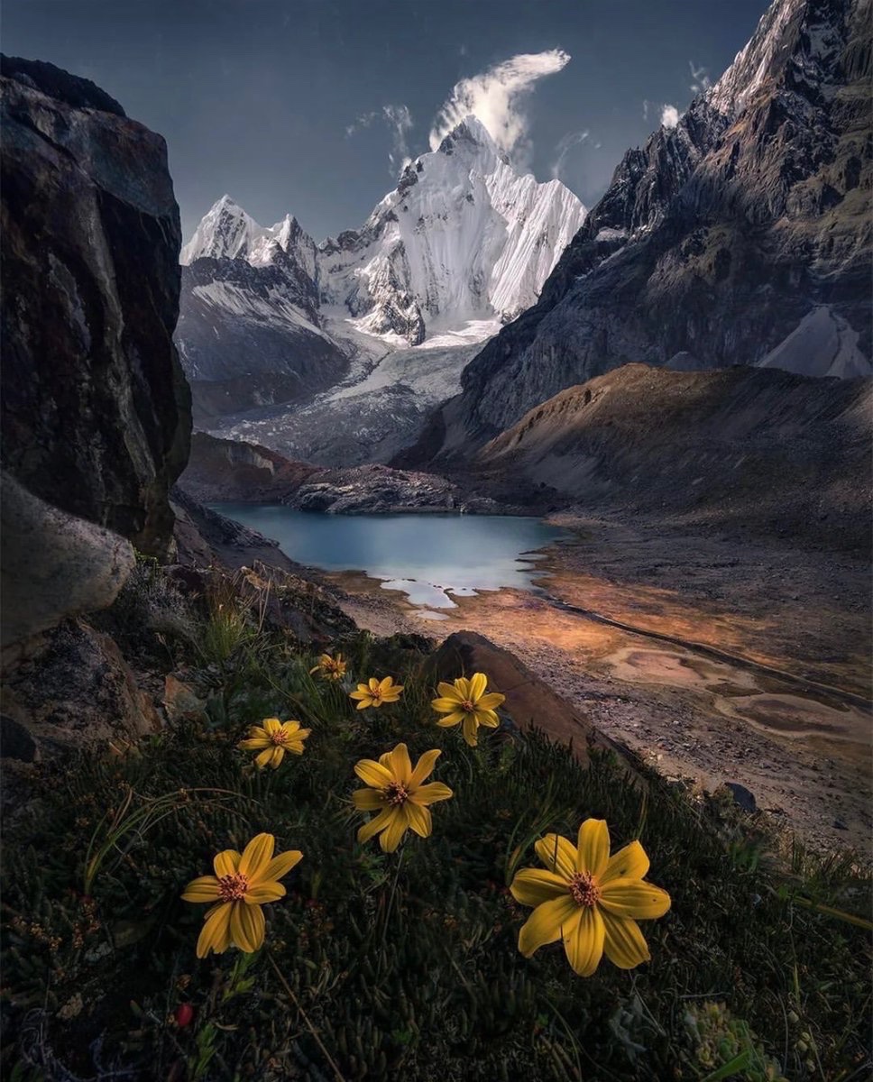 The Peruvian Andes 🌼❄️