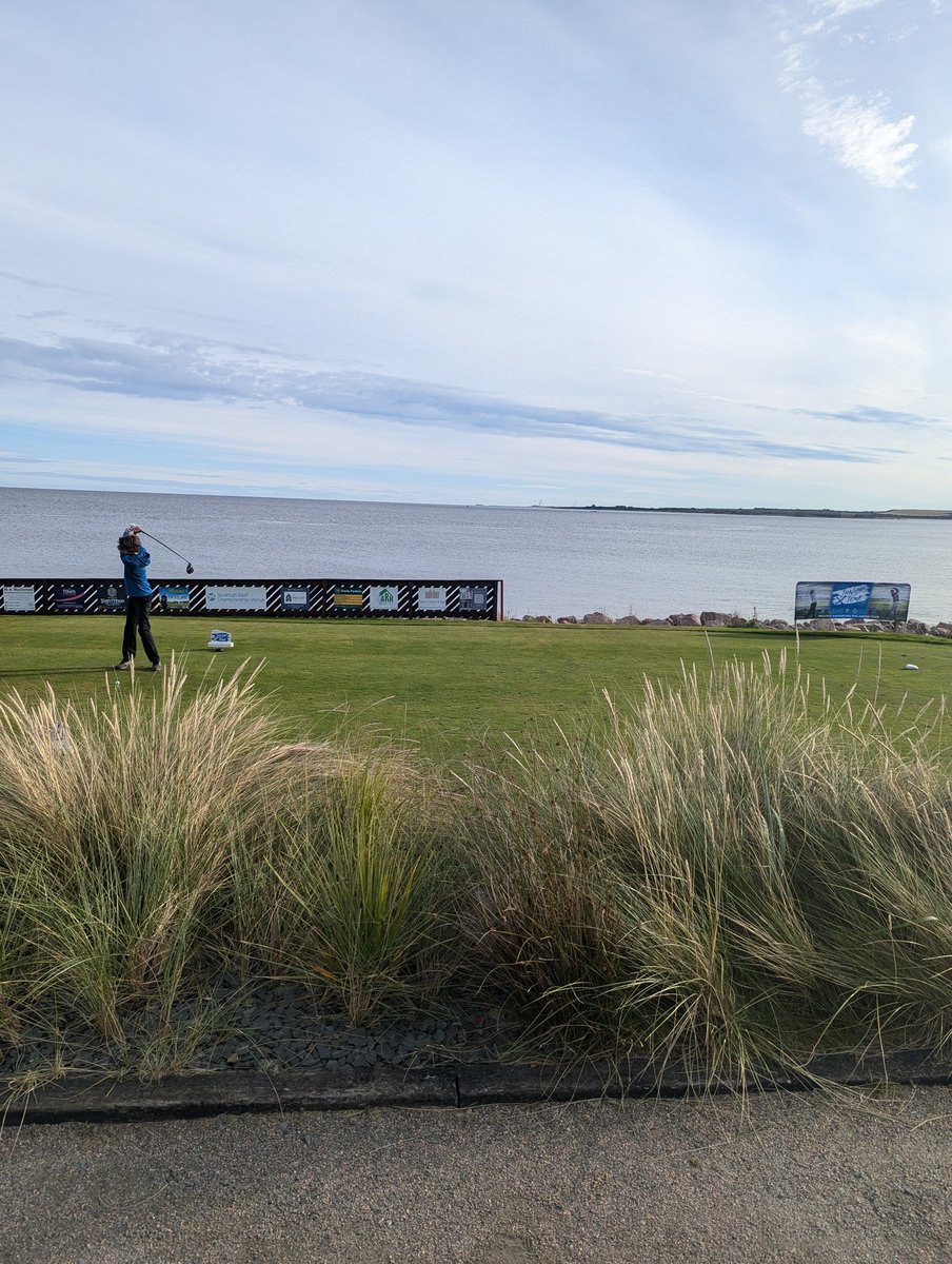 Gordon Mccormack tweet media