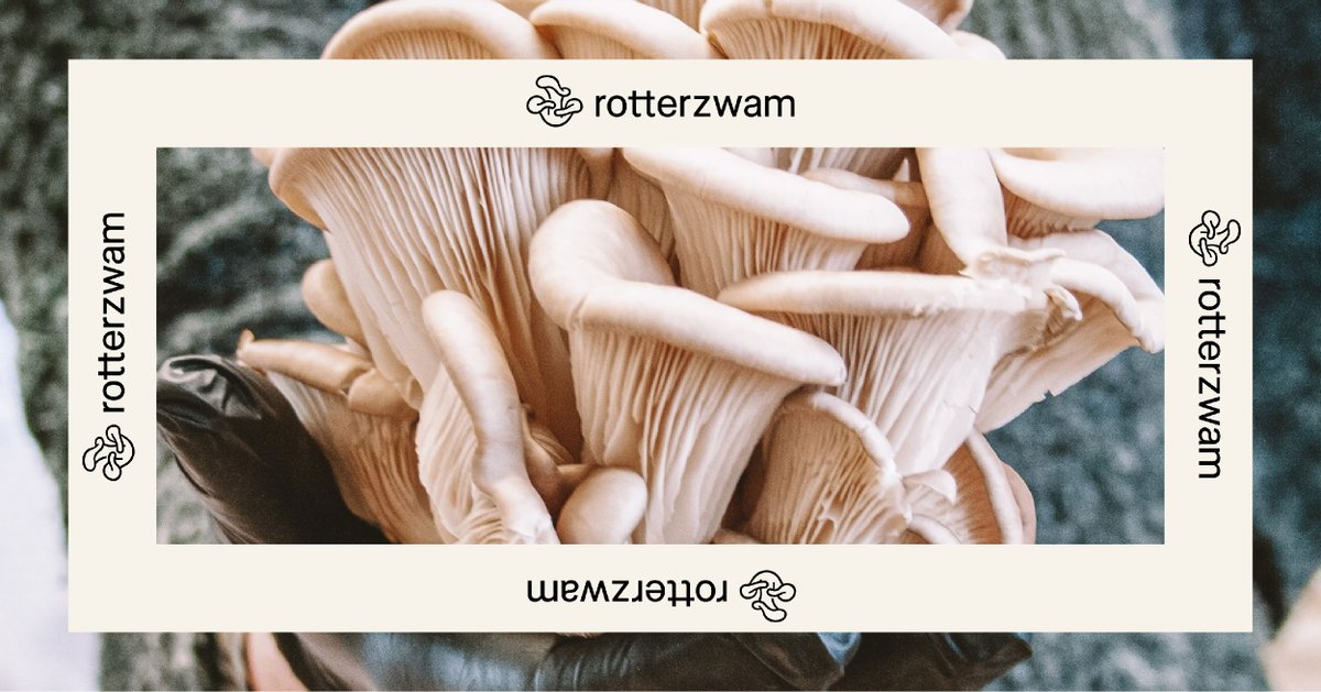 Oesterzwammen.nl tweet media