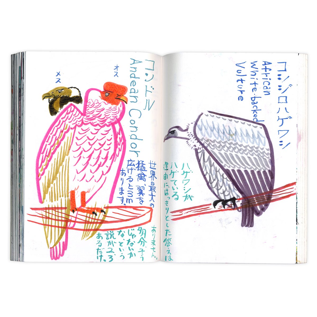 500イイネありがとうございます。

動物園で描いたスケッチ集SKTCH FROM THE ZOO、発売中ですので良ければー。(宣伝すみませぬ。)

本の写真は友人のイラストレーターmaccoさん @macco524 が撮ってくれたものですー。 