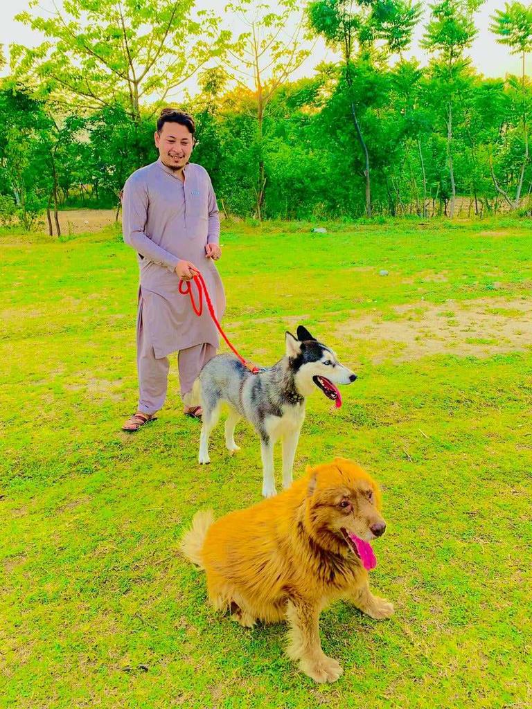 Engr Syed Hassam Shah tweet media