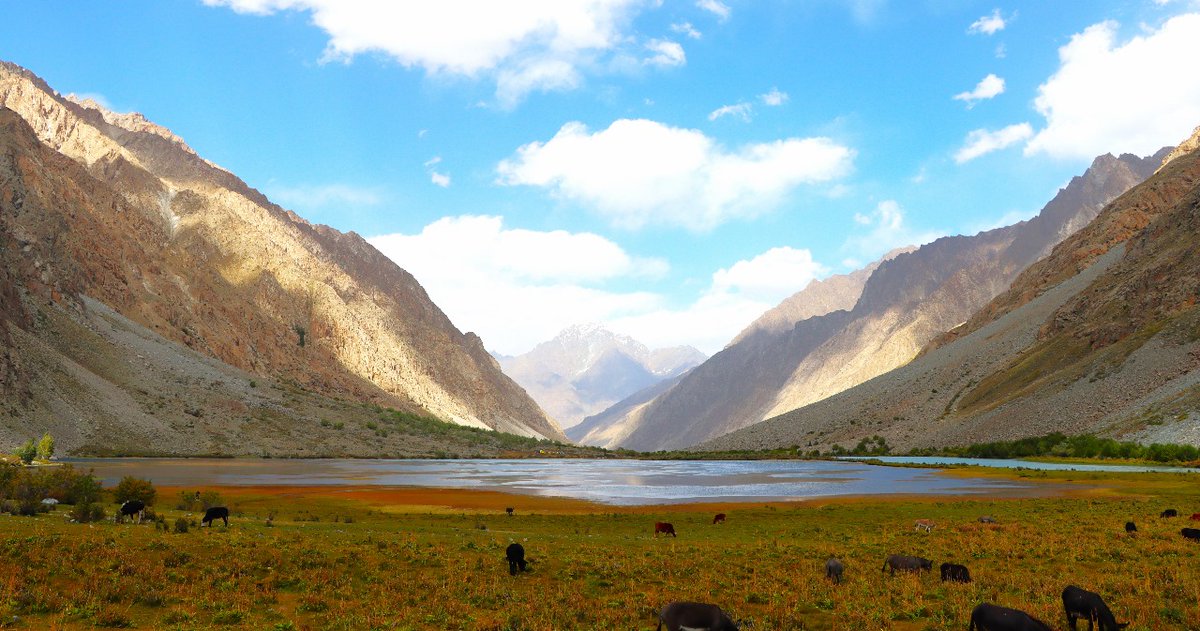 ZK_Wild's tweet photo. WWF-Pakistan is working to protect Pakistan’s wetlands! We recently surveyed 6 high-altitude lakes in GB to develop management plans and study their carbon sink potential. #WetlandsConservation #Pakistan #ClimateAction #NbS https://t.co/AtxVqvzS6x