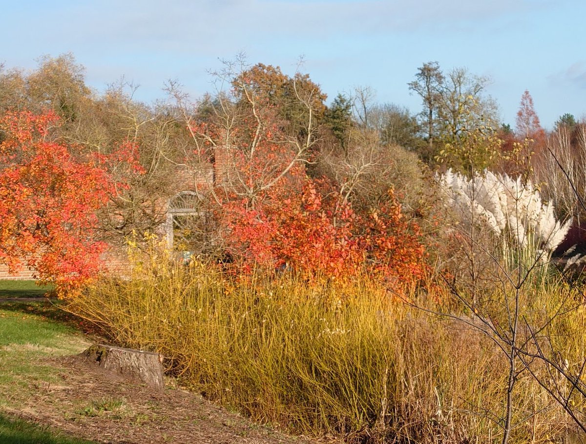 It's that time of year when aliens visit out grounds. Also a reminder that if we want more colour it is just a short trip to <a href="/markshallestate/">Markshall</a> markshall.org.uk #cohousing #lifestyle #colchester #GreatPlaceToLive