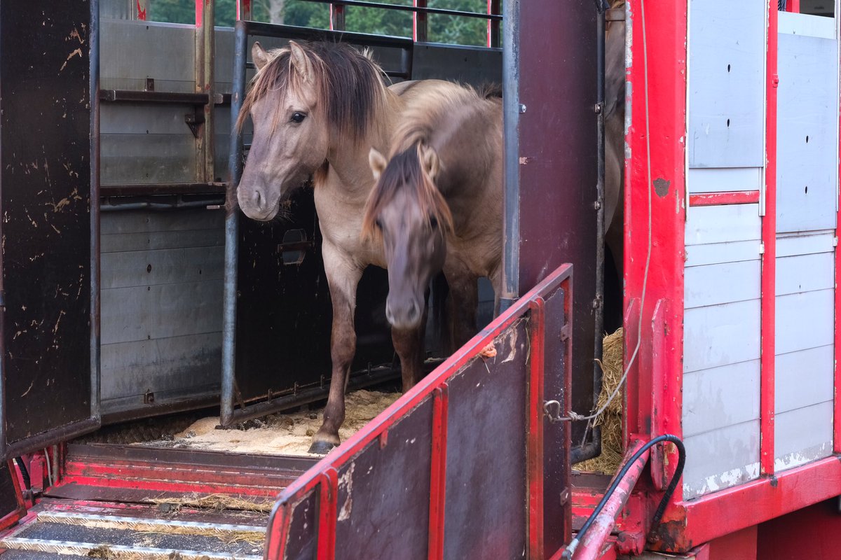 FREE Nature tweet media