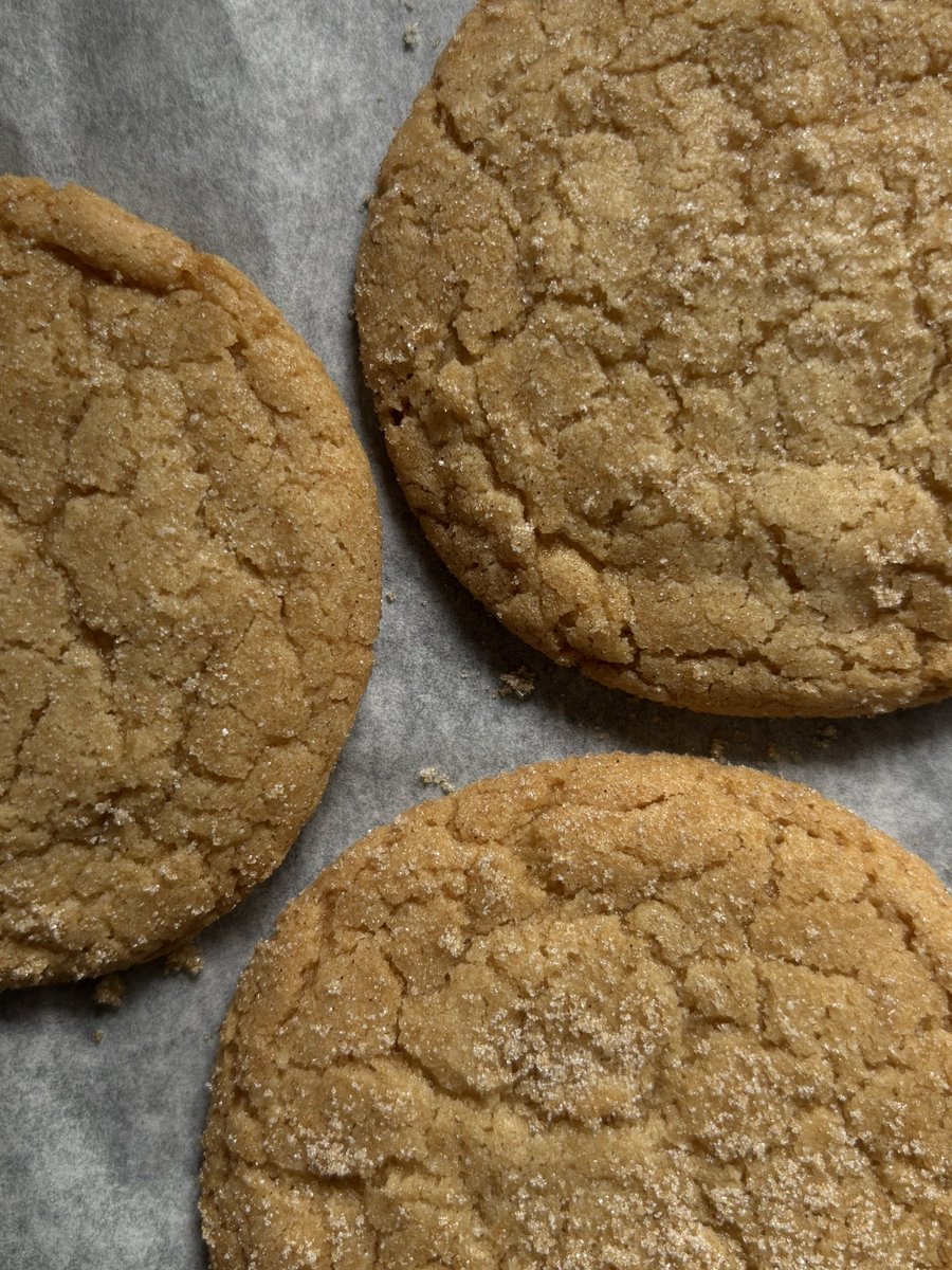 gracie ☆ tweet media