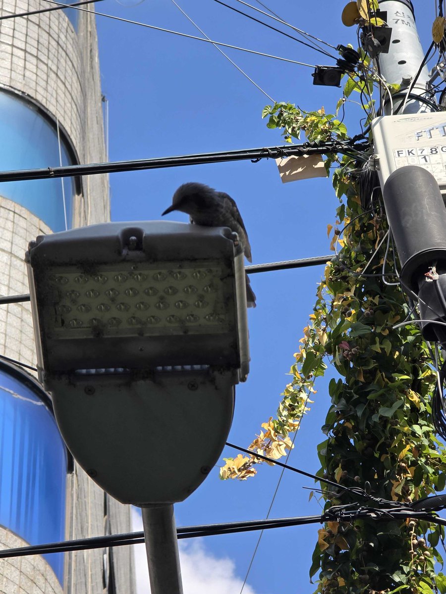 #LEEHAN weverse update

#BOYNEXTDOOR