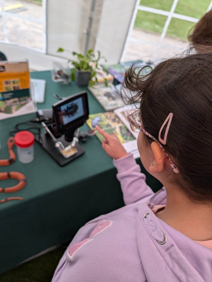 Buzz_dont_tweet's tweet photo. Young #CitizenScientists enjoyed seeing an array of amazing wildlife at Nature Unearthed Margam Park.

🐝With bee &amp; fungi walks, live moths &amp; beetles plus viewing amazing insects up close under a digital microscope.

#NaB #BuglifeCymru https://t.co/HtibjohDl7