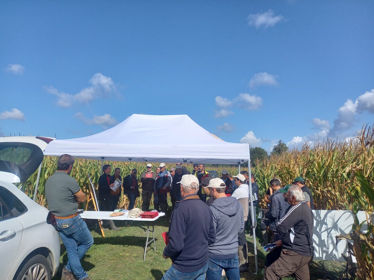 GroupeIsidore's tweet image. Choisir la bonne variété de maïs : un enjeu clé pour nos agriculteurs ! 👨‍🌾

Lors de nos 3 journées techniques, plus de 100 agriculteurs ont pu découvrir et comparer plus de 40 variétés de maïs🌽

#agriculture #groupeisidore