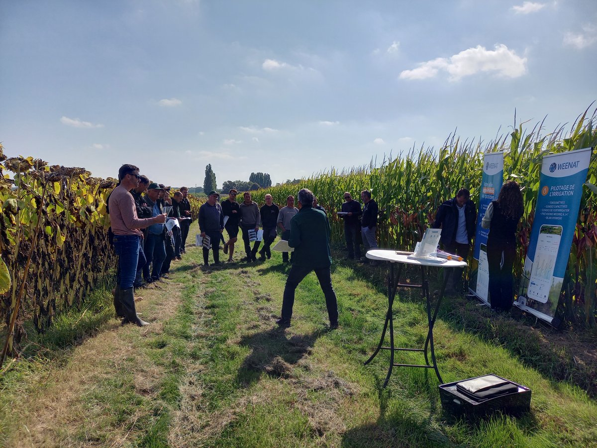 GroupeIsidore's tweet image. Choisir la bonne variété de maïs : un enjeu clé pour nos agriculteurs ! 👨‍🌾

Lors de nos 3 journées techniques, plus de 100 agriculteurs ont pu découvrir et comparer plus de 40 variétés de maïs🌽

#agriculture #groupeisidore