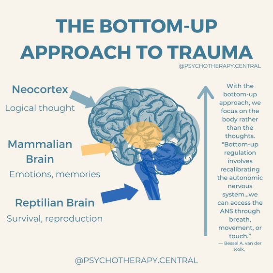 Children from trauma related backgrounds often struggle with  self-regulation .A specific area to start from is the bottom-up approach. Addressing the bodily sensations &amp; limbic reactions. It's about regulating the nervous system to restore balance &amp; reconnect the body .🧠🌱