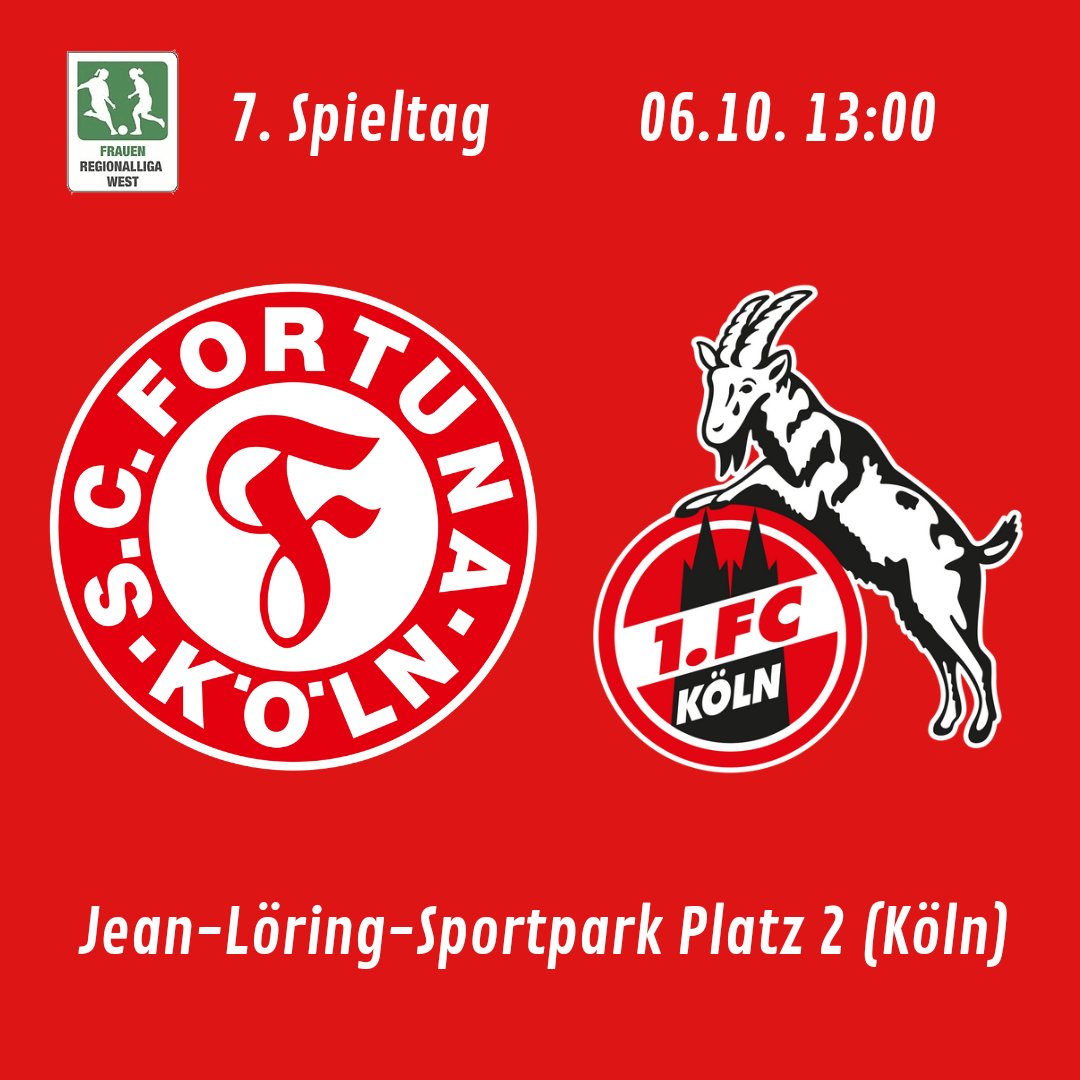 SCFanAccount's tweet photo. So diese Woche ist wieder Spieltach. Unsere Männer mit einem MustWin Spiel gegen Dortmund und unsere Frauen mit zwei Krachern gegen den Tabellenzweiten Bielefeld und das Stadtderby gegen den FC. Auf geht's wir hoffen auf 9 Punkte ❤️🤍
#forzafortuna #SCFDSC #TDOSCF #SCFKOE https://t.co/dLEV2yYt3W