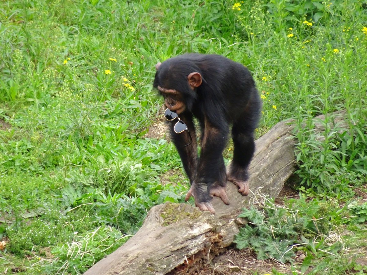 Nicol Taal tweet media