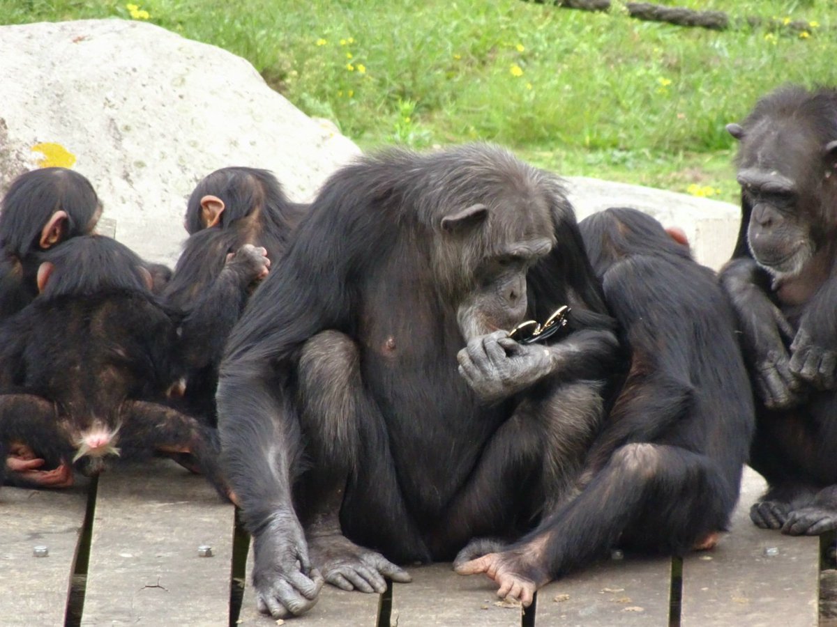 Nicol Taal tweet media