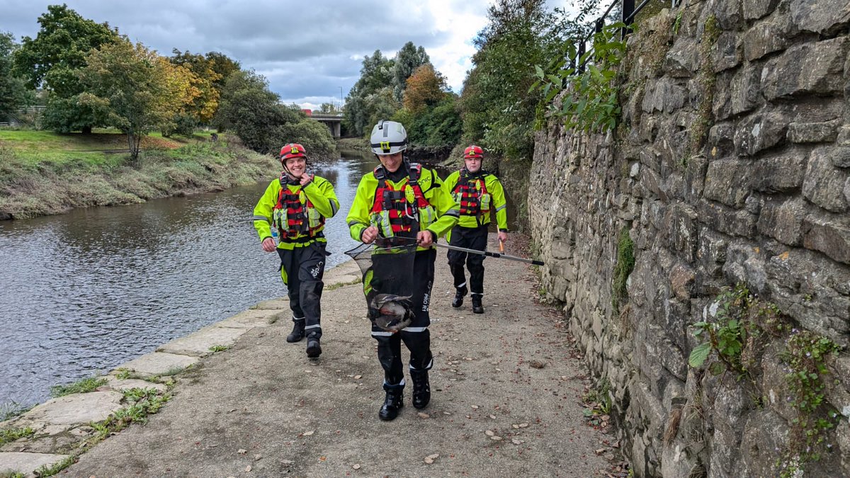 On Saturday, September 28th two ducks had become tangled in a fishing line in the river and were in distress. 

After donning their wading gear, Firefighters were able to catch the ducks in a net and release them from the fishing line before putting them in the care of the RSPCA.