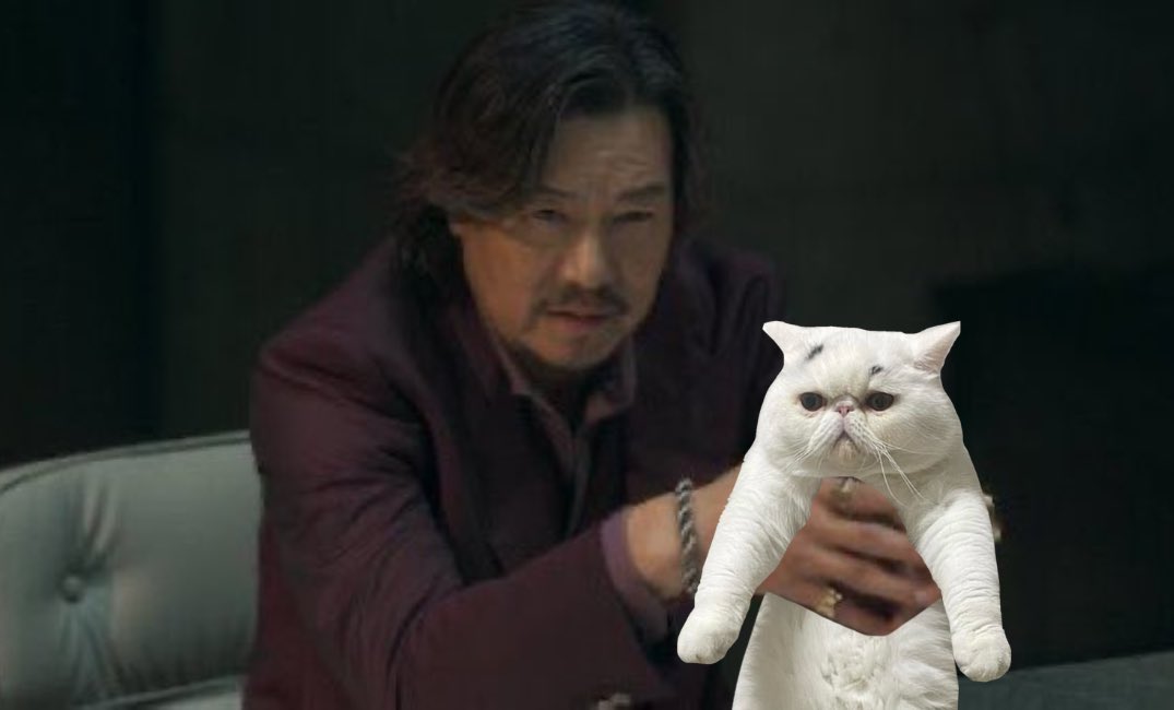 ふくまる（福丸） (@fukumaru_1001) / Posts / X