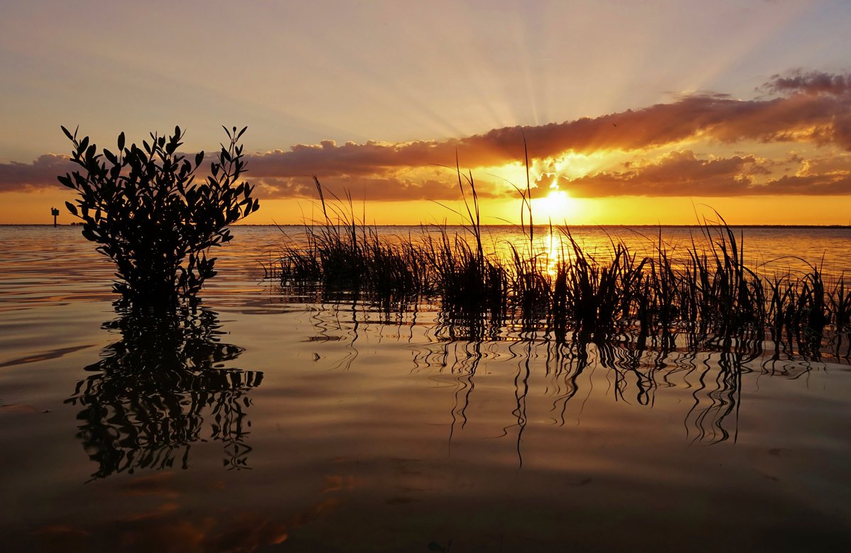 Our thoughts go out to all those impacted by #HurricaneHelene. 💚

Resources: 
👉 Fema.gov
👉 FloridaDisaster.org
👉 VolunteerFlorida.org