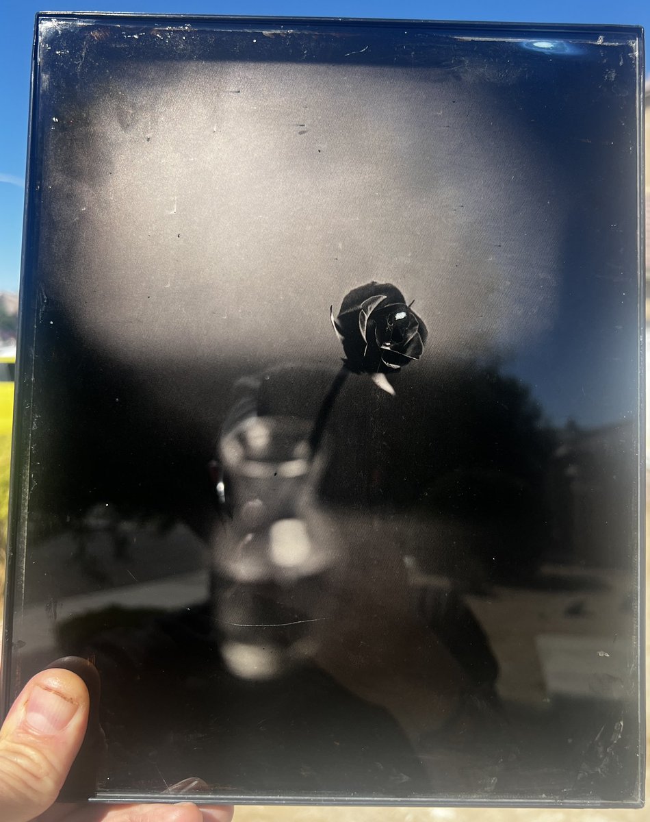 j_harvell's tweet photo. t’s #Monochrome .  Well, monochrome is everyday for me. I felt like taking some photograph of roses. Went to the local Stater Bros and found some in the fridge. They looked lovely. 
Ambrotype. I used 2 different lenses. The https://t.co/OUM5yRra8P