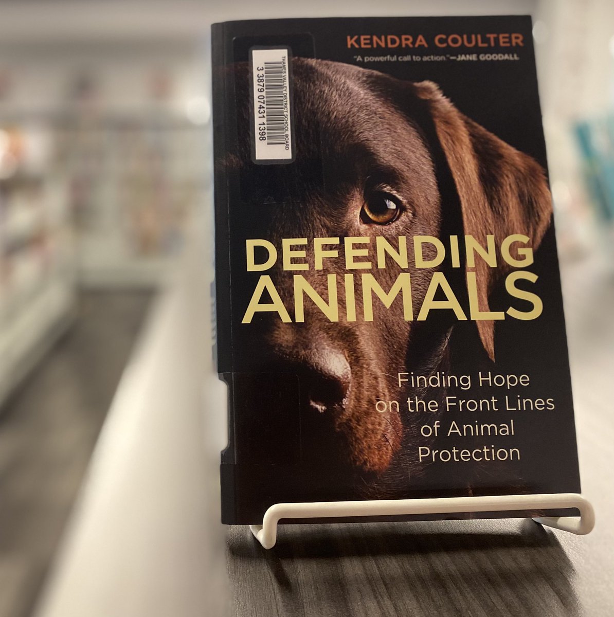 Got a new book in the @BLibraryLC by @BantingBroncos grad @HuronUni <a href="/DrKendraCoulter/">Kendra Coulter</a>!  Ready to get it into some student’s hands!