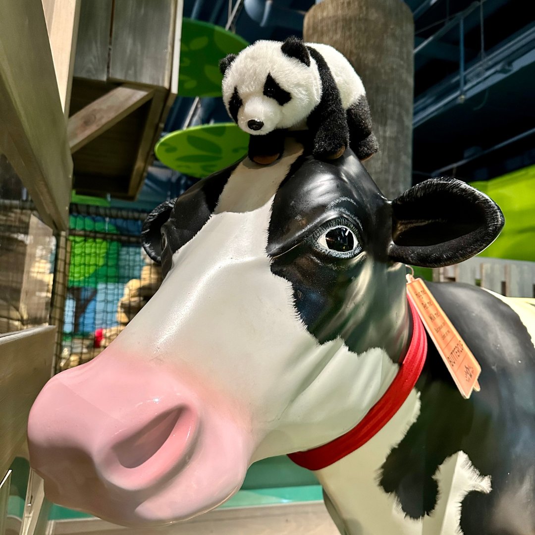 Thanks, @zooatl's giant pandas, for staying with us in ATL. Travel safely home! Thank you for coming to play! #LastCallYall! 🐼🎋💙
⁠
Thinking of joining the fun? Plan your visit today! bit.ly/CMA_tickets
⁠
#ZooATL #AtlantaZoo #KidFriendly #FamilyFun #ATL #Atlanta #Pandas