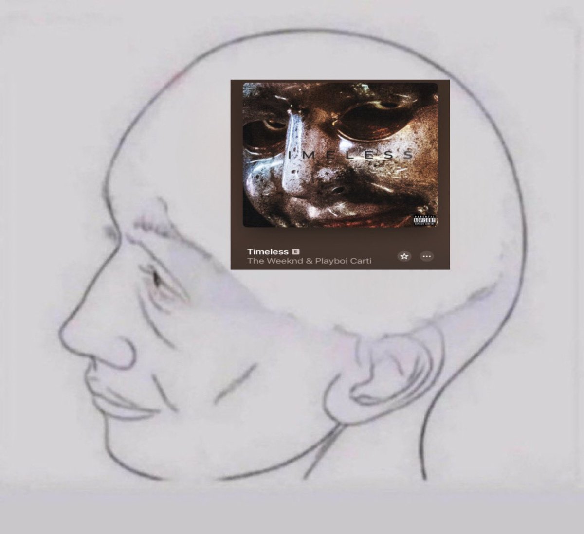 igotfungi's tweet photo. what’s on your mind? 

me: https://t.co/kAN9u0PHQl