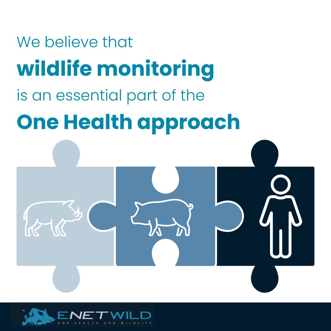 If we monitor our wildlife and its health, we can better contain infectious diseases. 

This  will improve the well-being of wild and domestic animals as well as our own health.

#OneHealth