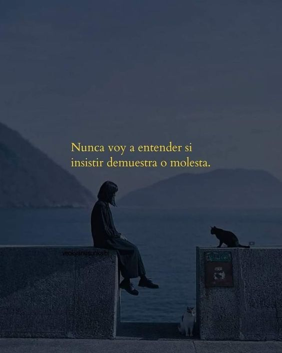 Andres Tejeda (@tejedad6) on Twitter photo 