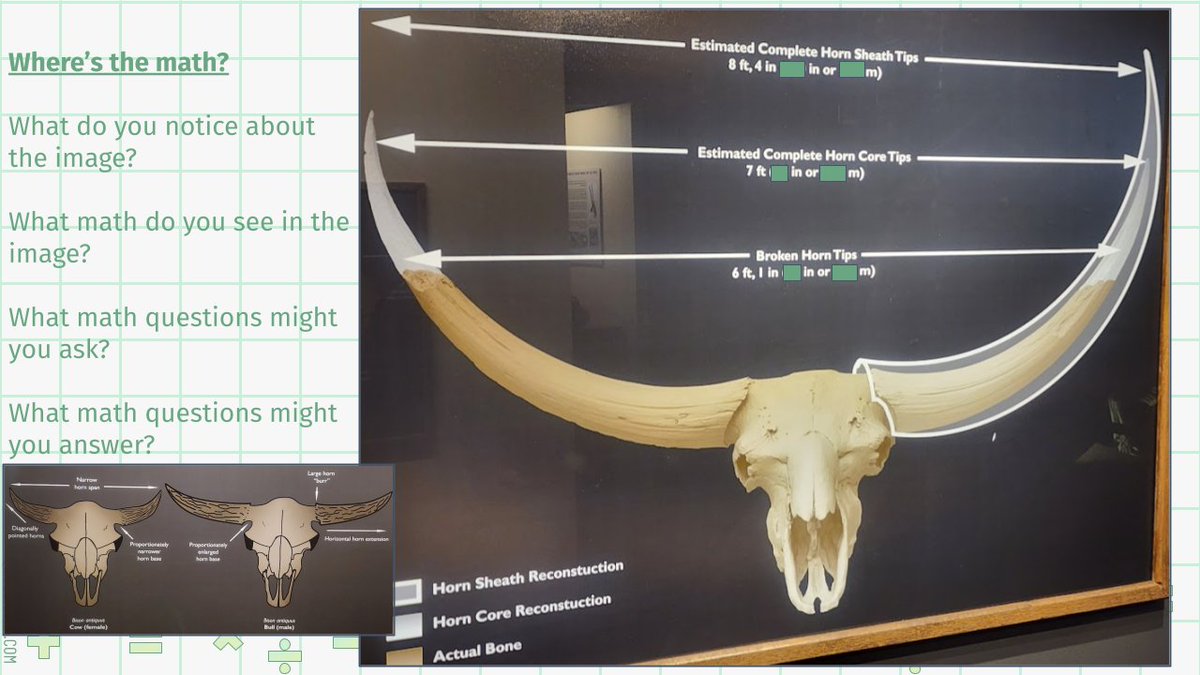 Happy Monday <a href="/ForestEdgeES/">Forest Edge</a> mathematicians! #MathIsEverywhere - even at the Mammoth Site in SD! Check out these bison skulls. Mr. E covered up some math - can you figure out the missing inches and meters? What math can you find? <a href="/MathematicsFcps/">FCPSMathematics</a> <a href="/FCPSRegion1/">FCPS Region 1</a> #WhatTheMath?!