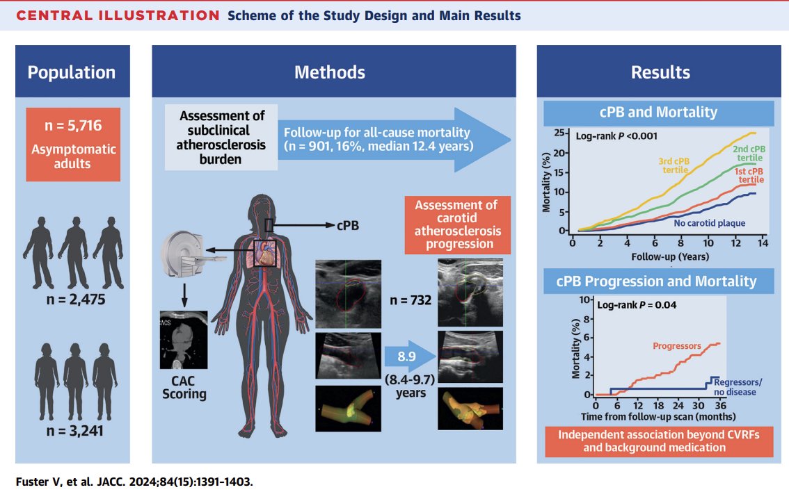 🫀💀silent atherosclerosis burden and its progression independently associated with ☠️all cause mortality‼️ #OpenAccess full paper here👉sciencedirect.com/science/articl…